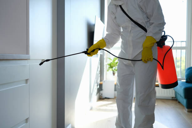 Best Post-Remediation Services in Kerens, TX
