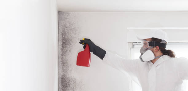 Best Emergency Mold Remediation in Kerens, TX